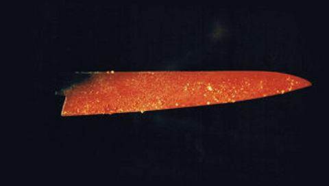 Sakusaku Santoku knife 180mm